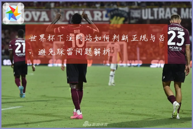 世界杯下注网站如何判断正规与否，避免踩雷问题解析