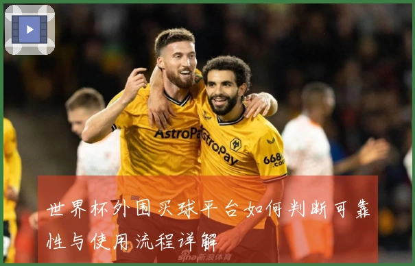世界杯外围买球平台如何判断可靠性与使用流程详解