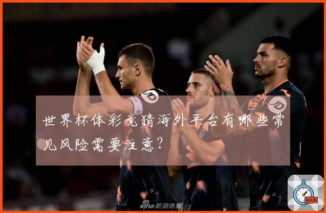 世界杯体彩竞猜海外平台有哪些常见风险需要注意？