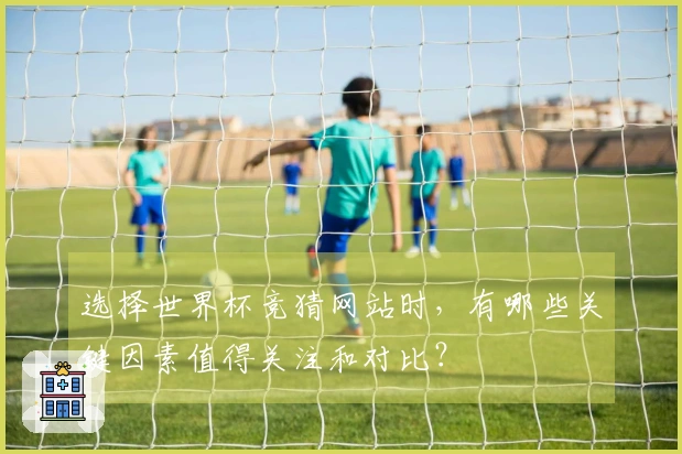 选择世界杯竞猜网站时，有哪些关键因素值得关注和对比？