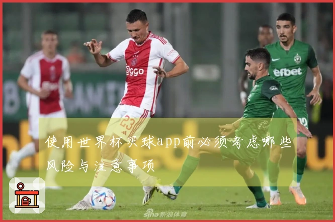 使用世界杯买球app前必须考虑哪些风险与注意事项
