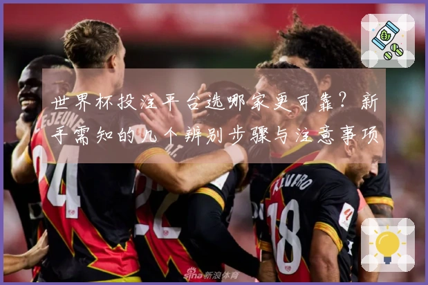 世界杯投注平台选哪家更可靠？新手需知的几个辨别步骤与注意事项