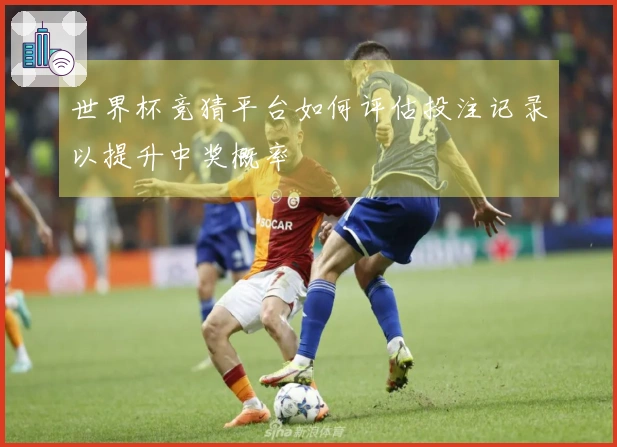 世界杯竞猜平台如何评估投注记录以提升中奖概率