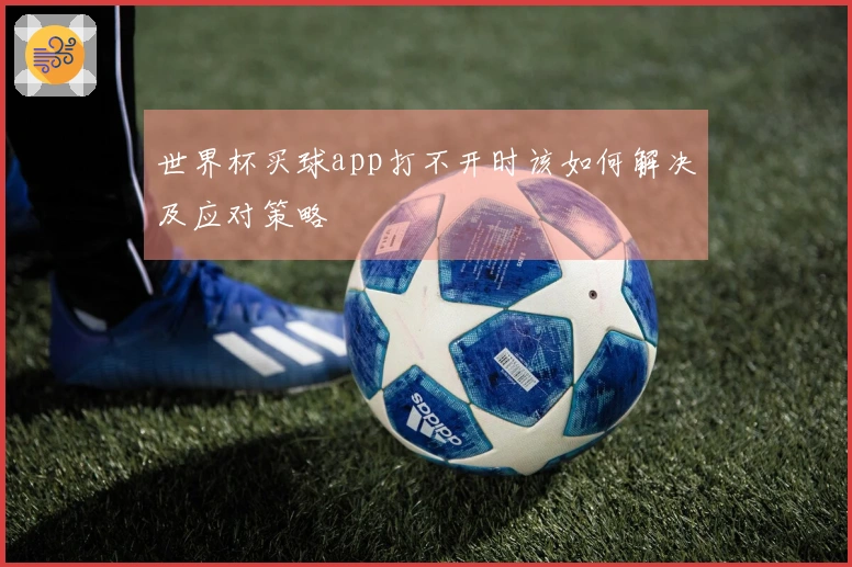 世界杯买球app打不开时该如何解决及应对策略
