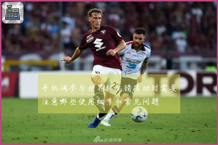 手机端参与世界杯竞猜活动时需要注意哪些使用细节和常见问题
