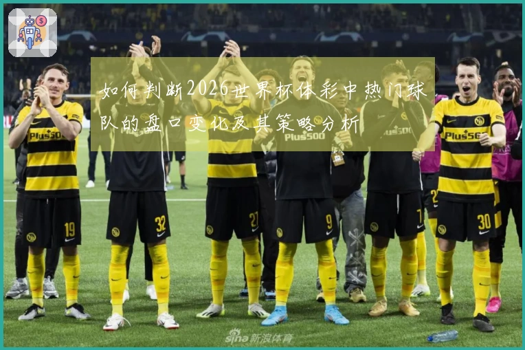 如何判断2026世界杯体彩中热门球队的盘口变化及其策略分析