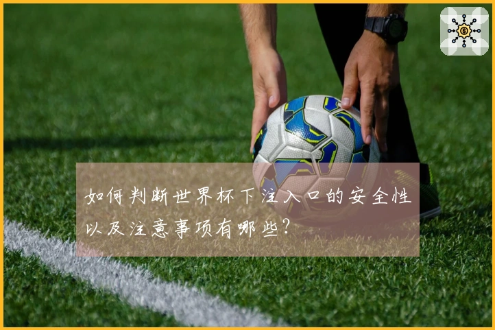 如何判断世界杯下注入口的安全性以及注意事项有哪些？