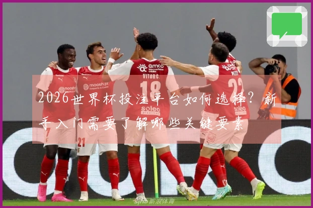 2026世界杯投注平台如何选择？新手入门需要了解哪些关键要素