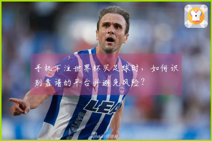 手机下注世界杯买足球时，如何识别靠谱的平台并避免风险？