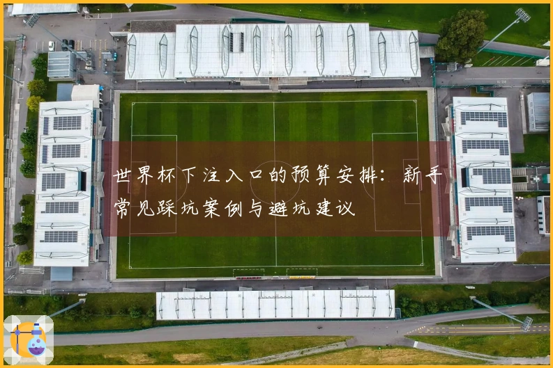 世界杯下注入口的预算安排：新手常见踩坑案例与避坑建议