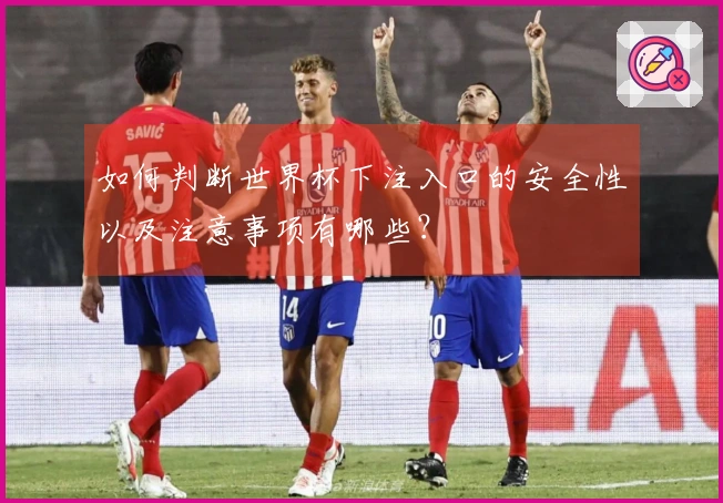 如何判断世界杯下注入口的安全性以及注意事项有哪些？