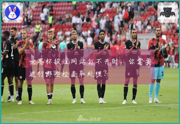 世界杯投注网站打不开时，你需要进行哪些检查和处理？