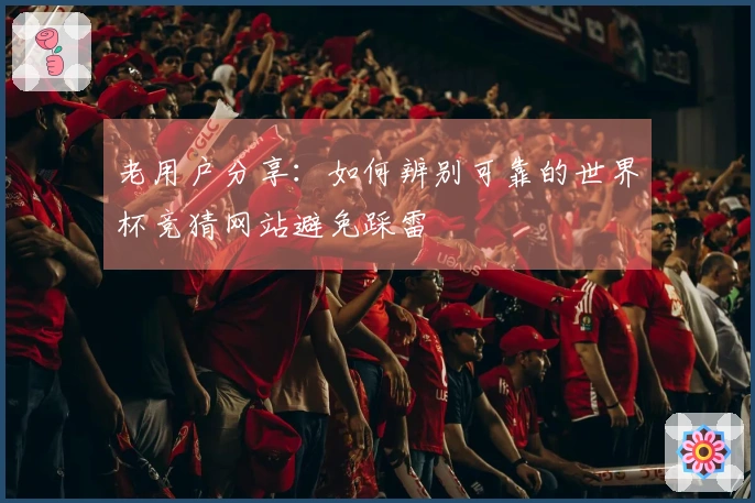 老用户分享：如何辨别可靠的世界杯竞猜网站避免踩雷