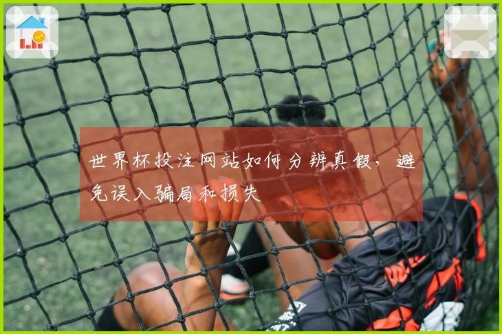 世界杯投注网站如何分辨真假，避免误入骗局和损失