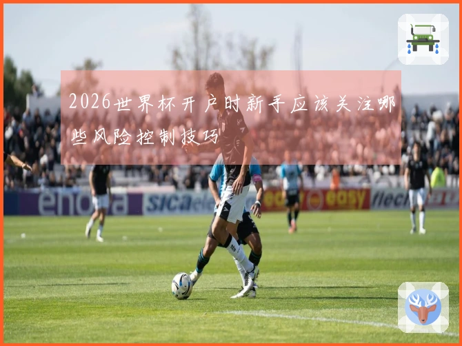 2026世界杯开户时新手应该关注哪些风险控制技巧