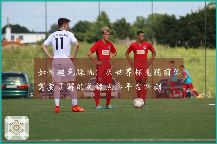 如何避免踩坑：买世界杯竞猜前你需要了解的关键点和平台评测
