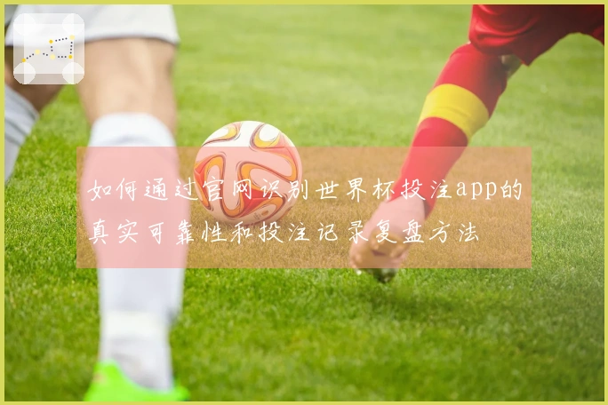如何通过官网识别世界杯投注app的真实可靠性和投注记录复盘方法