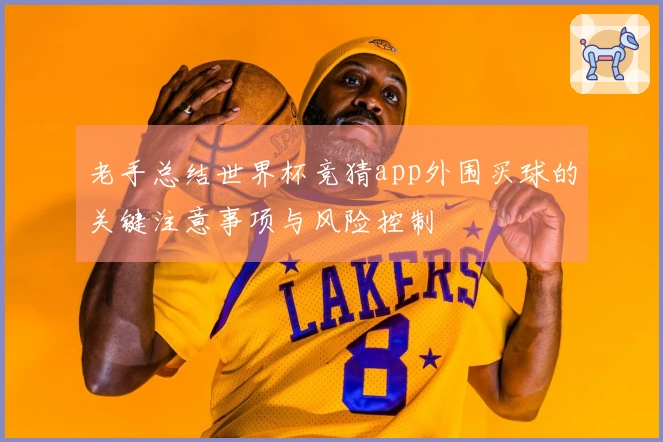 老手总结世界杯竞猜app外围买球的关键注意事项与风险控制