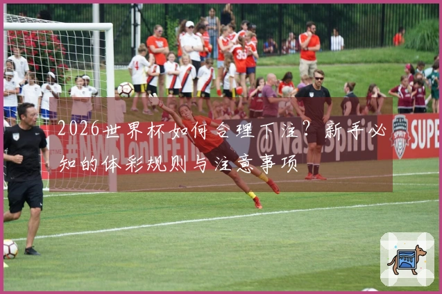 2026世界杯如何合理下注？新手必知的体彩规则与注意事项