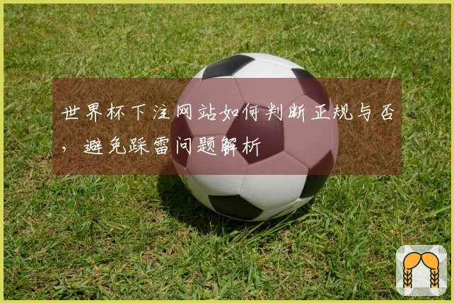 世界杯下注网站如何判断正规与否，避免踩雷问题解析