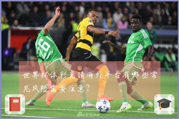 世界杯体彩竞猜海外平台有哪些常见风险需要注意？
