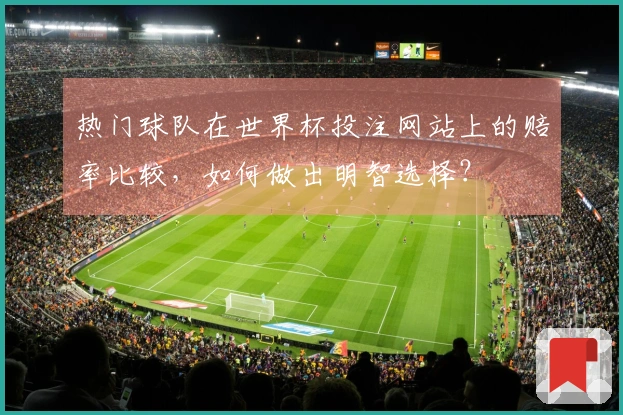 热门球队在世界杯投注网站上的赔率比较，如何做出明智选择？