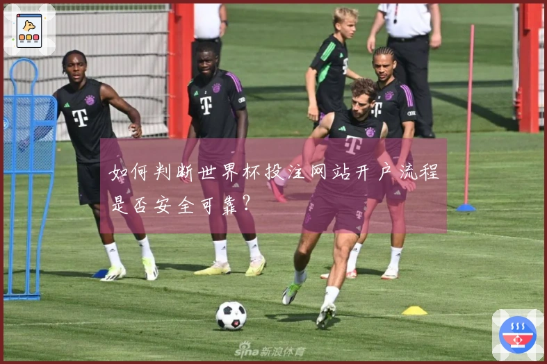 如何判断世界杯投注网站开户流程是否安全可靠？