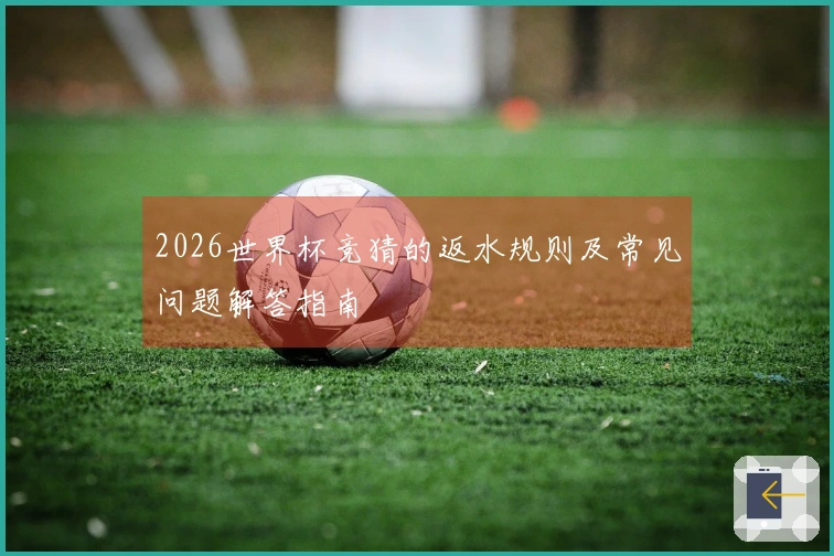 2026世界杯竞猜的返水规则及常见问题解答指南