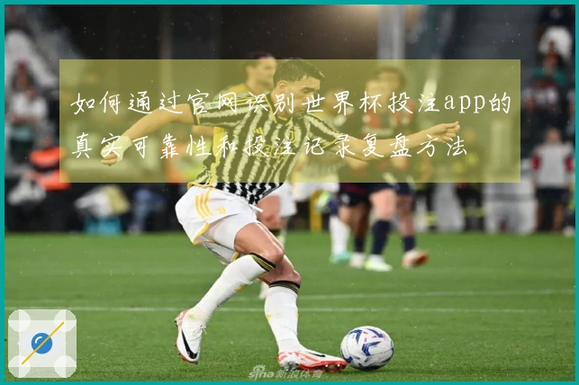 如何通过官网识别世界杯投注app的真实可靠性和投注记录复盘方法