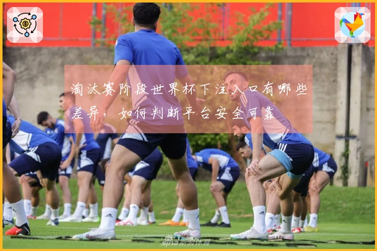 淘汰赛阶段世界杯下注入口有哪些差异，如何判断平台安全可靠
