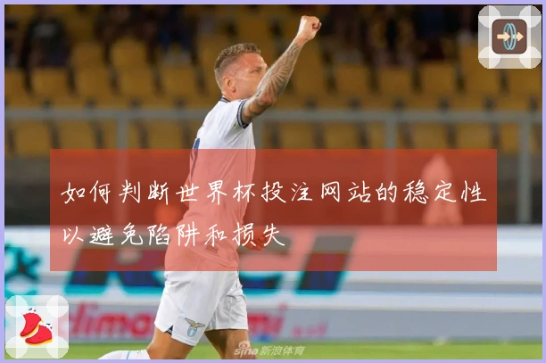 如何判断世界杯投注网站的稳定性以避免陷阱和损失