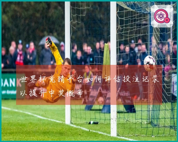 世界杯竞猜平台如何评估投注记录以提升中奖概率
