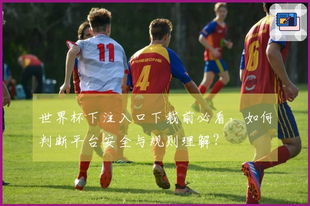 世界杯下注入口下载前必看，如何判断平台安全与规则理解？