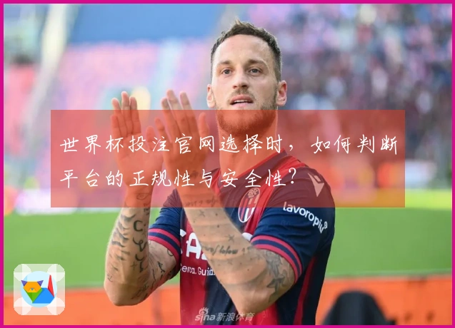 世界杯投注官网选择时，如何判断平台的正规性与安全性？