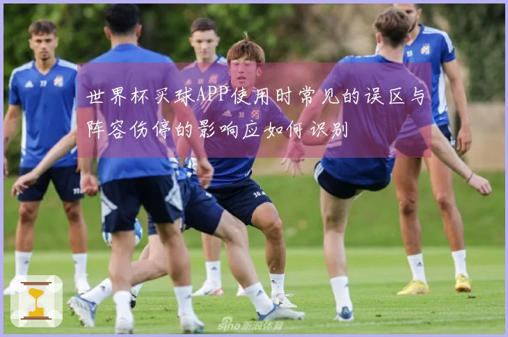 世界杯买球APP使用时常见的误区与阵容伤停的影响应如何识别