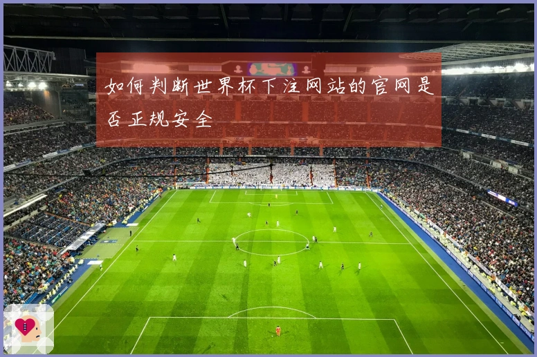 如何判断世界杯下注网站的官网是否正规安全