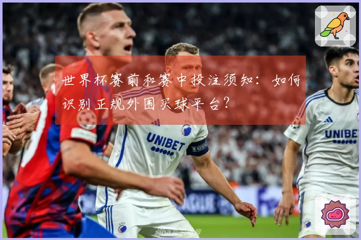 世界杯赛前和赛中投注须知：如何识别正规外围买球平台？