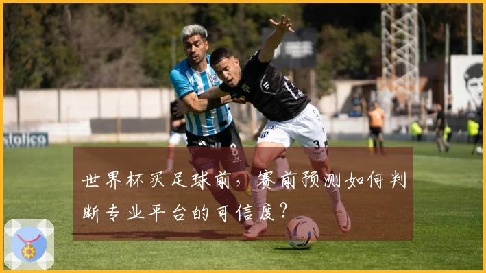 世界杯买足球前，赛前预测如何判断专业平台的可信度？
