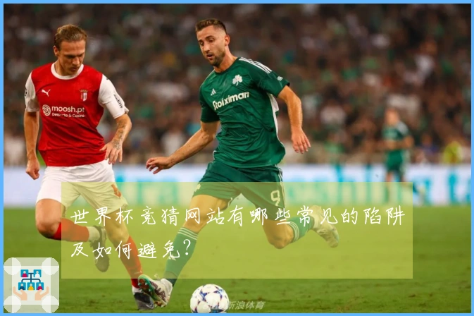 世界杯竞猜网站有哪些常见的陷阱及如何避免？