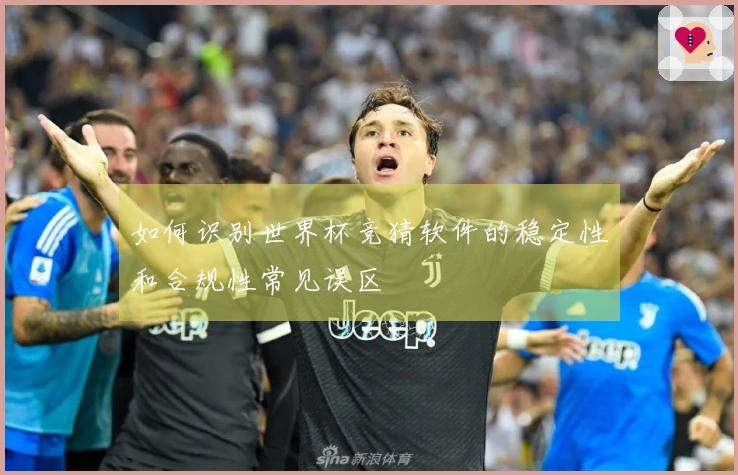 如何识别世界杯竞猜软件的稳定性和合规性常见误区